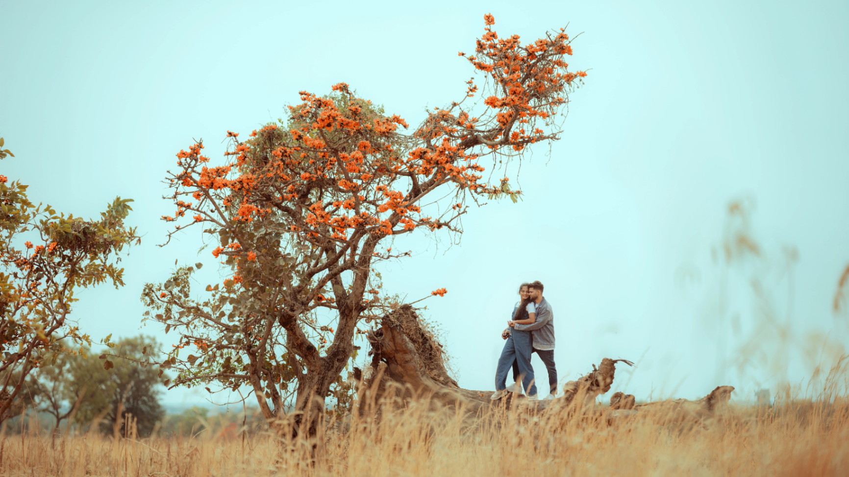 Destination Weddings